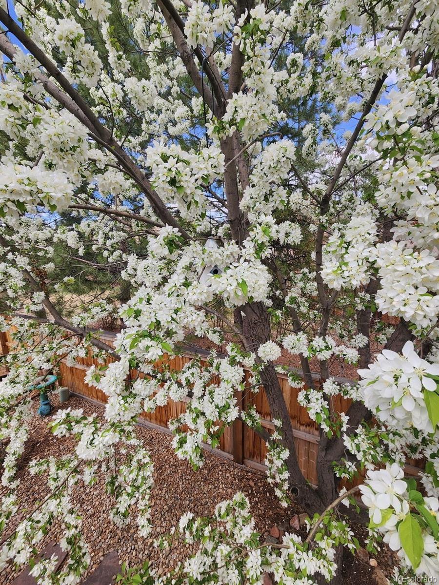MLS Image #37 for 829  sanctuary circle,longmont, Colorado