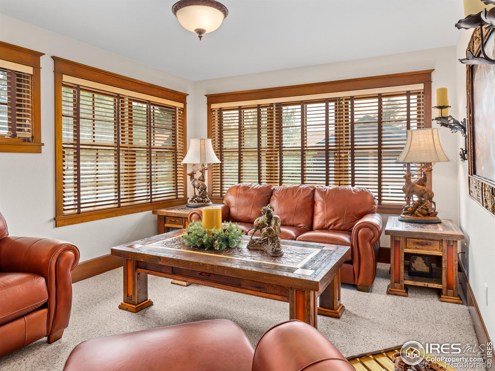 MLS Image #24 for 685  riverside drive,estes park, Colorado