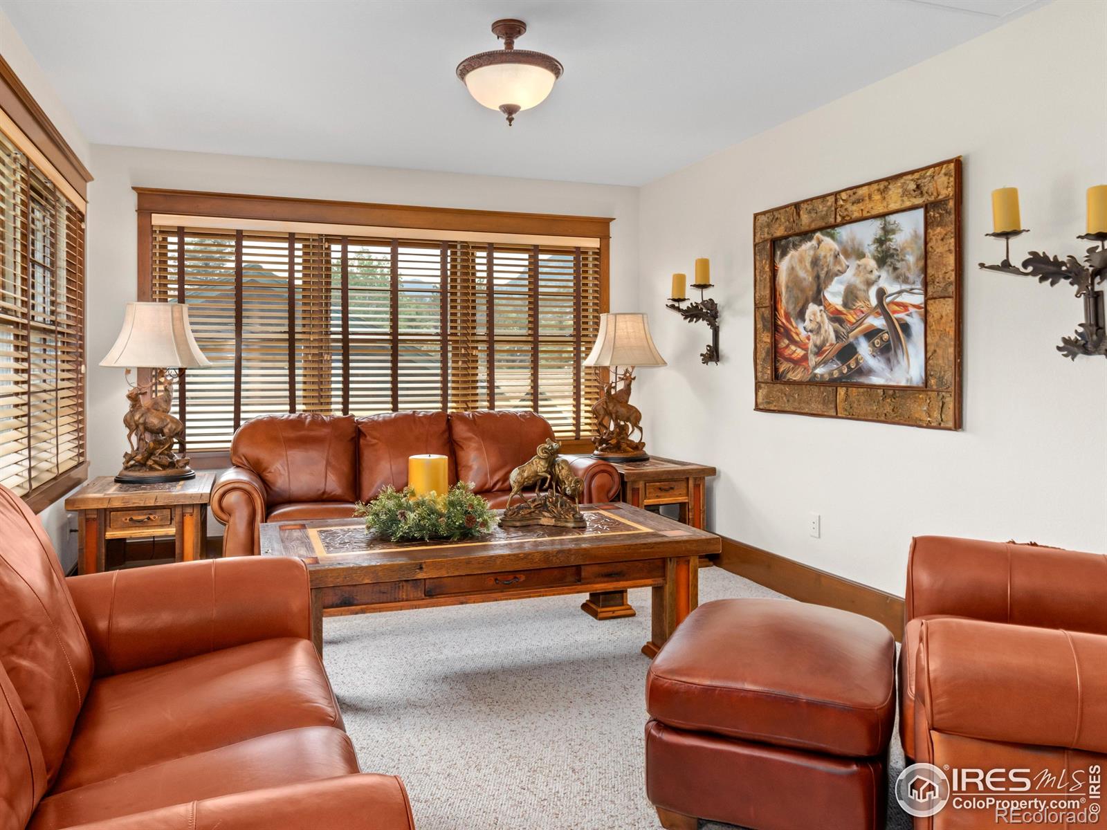 MLS Image #26 for 685  riverside drive,estes park, Colorado