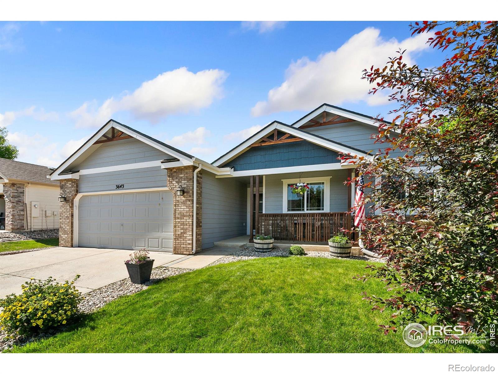 MLS Image #0 for 3643  fletcher street,loveland, Colorado