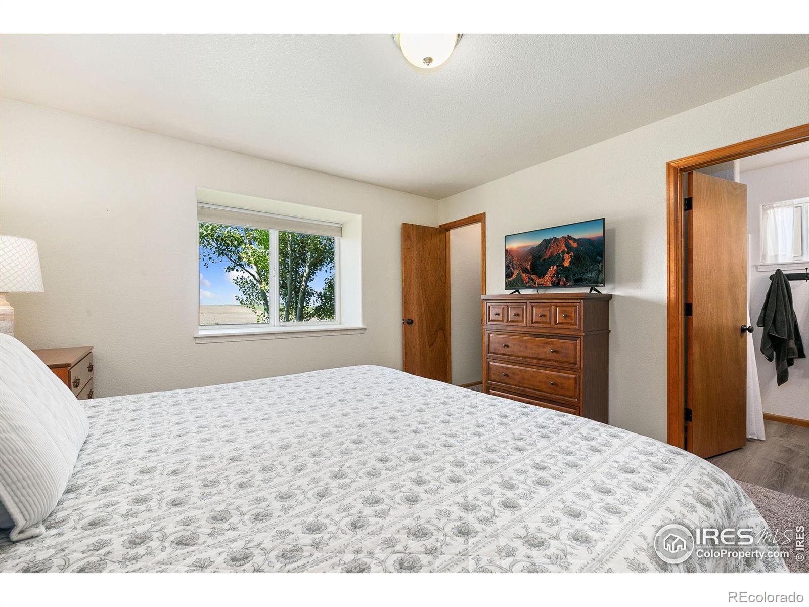 MLS Image #12 for 3643  fletcher street,loveland, Colorado