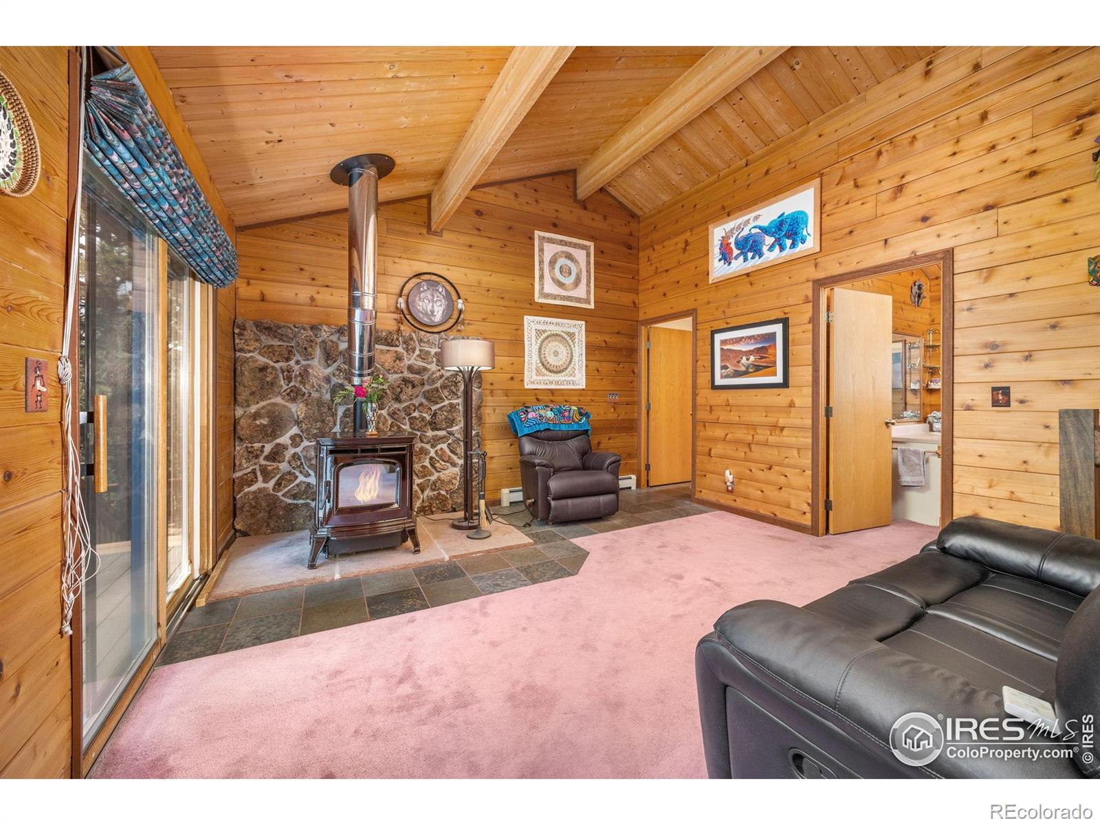 MLS Image #13 for 92  sundance circle,nederland, Colorado