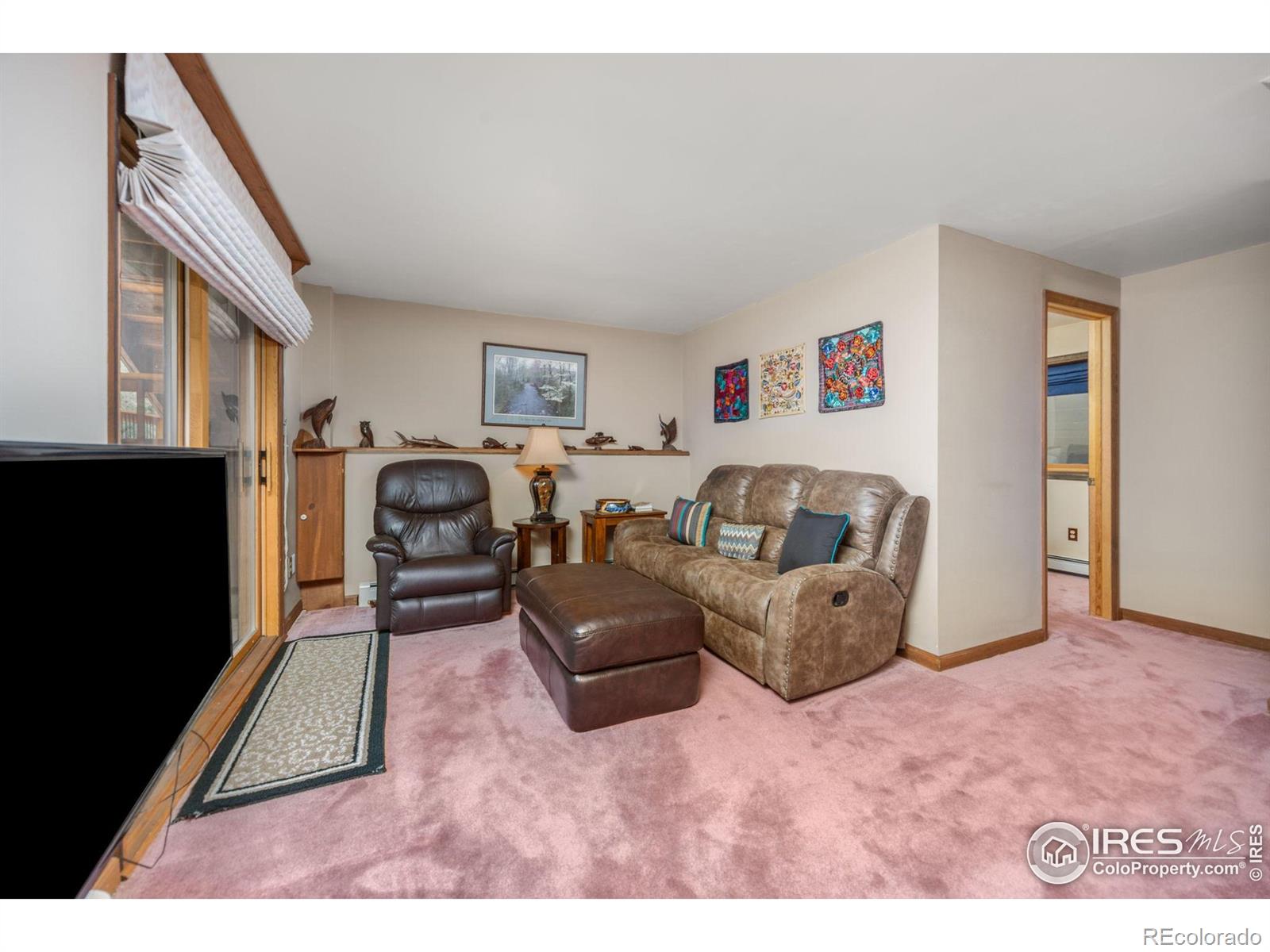 MLS Image #18 for 92  sundance circle,nederland, Colorado