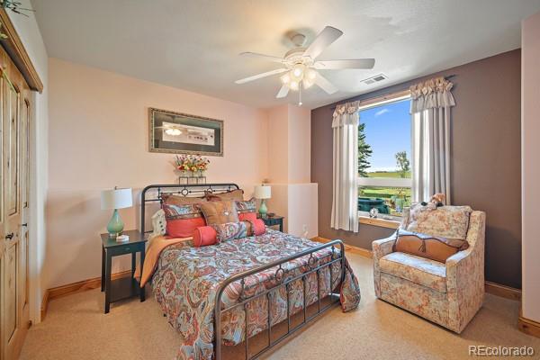 MLS Image #20 for 21525  elk meadows circle,elbert, Colorado
