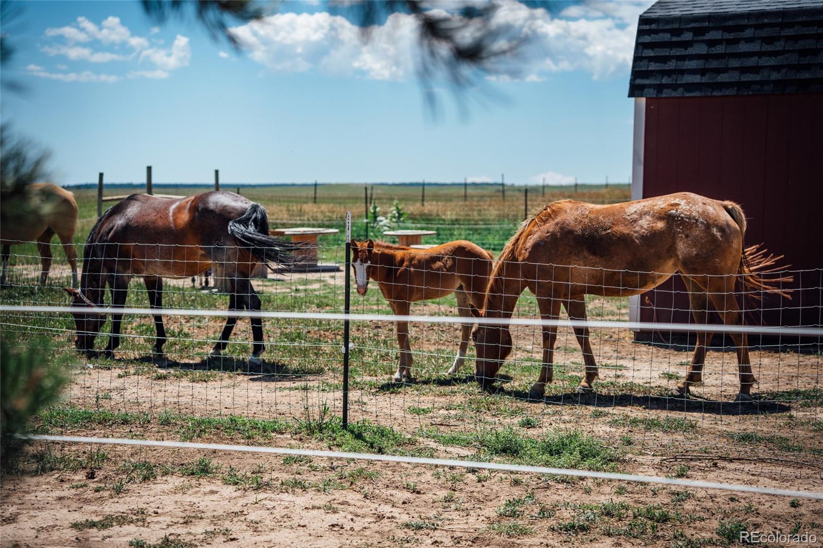 MLS Image #46 for 21525  elk meadows circle,elbert, Colorado