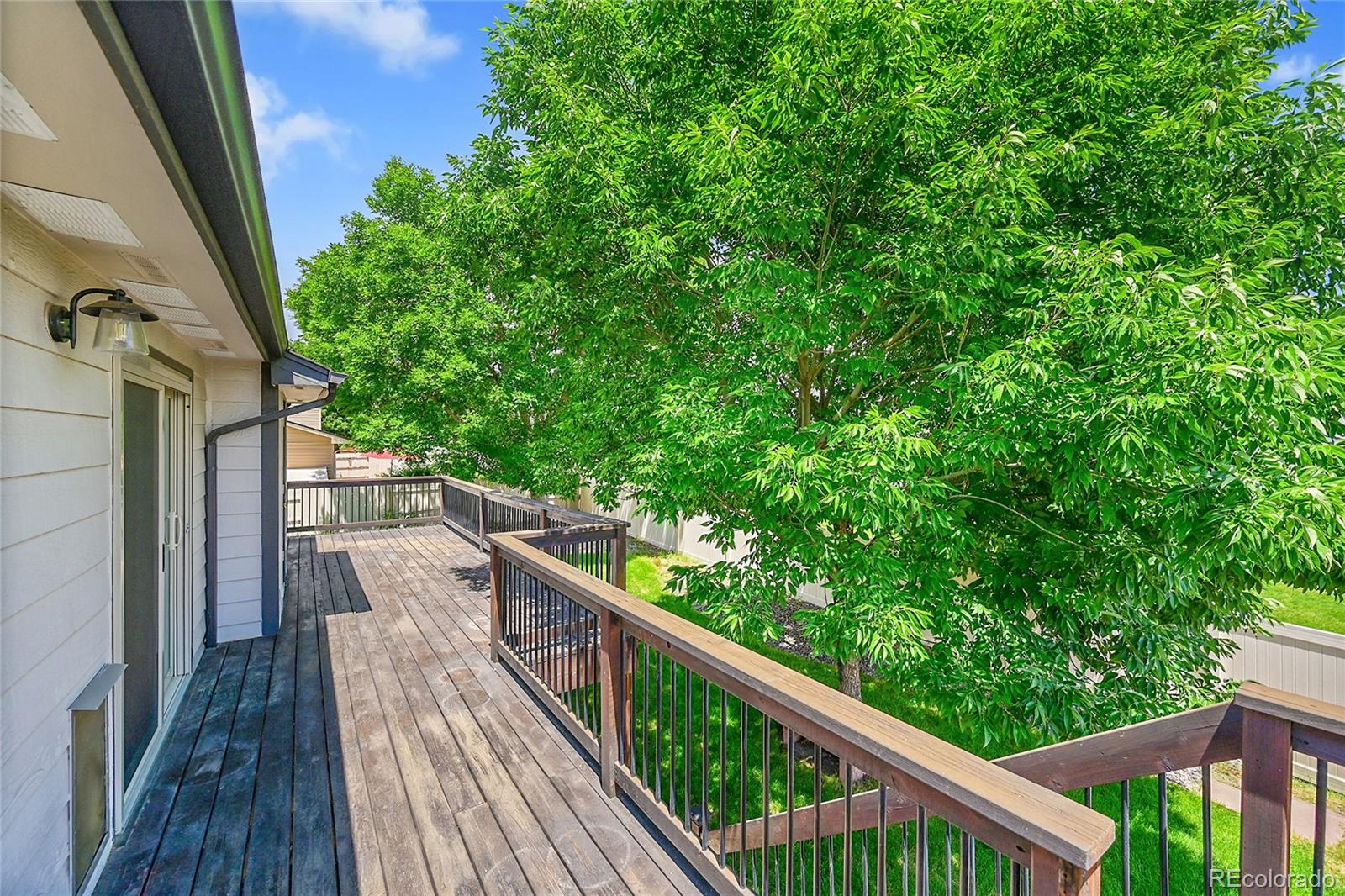 MLS Image #36 for 1624  daphne street,broomfield, Colorado
