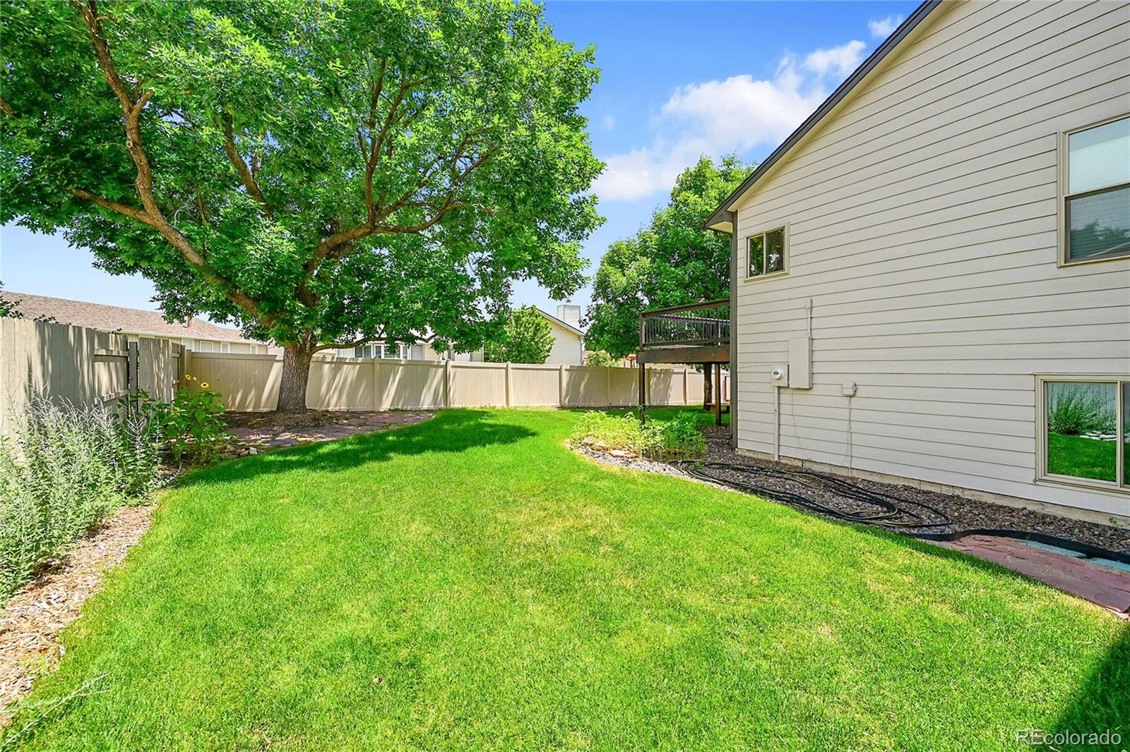 MLS Image #40 for 1624  daphne street,broomfield, Colorado