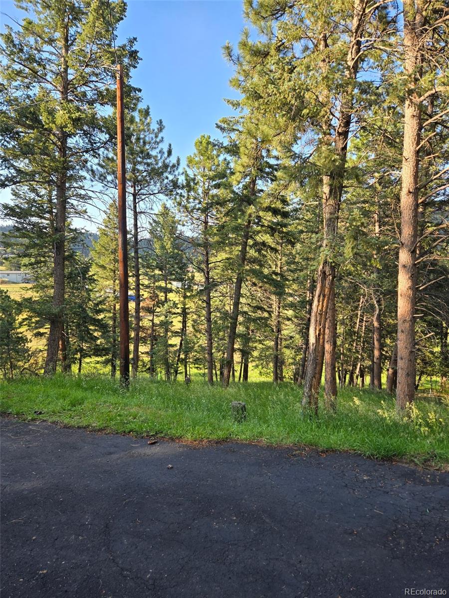MLS Image #44 for 6616  high drive,morrison, Colorado