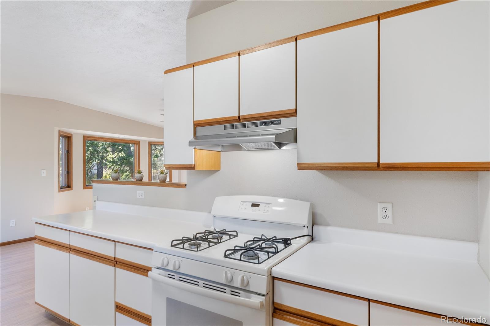 MLS Image #8 for 6616  high drive,morrison, Colorado