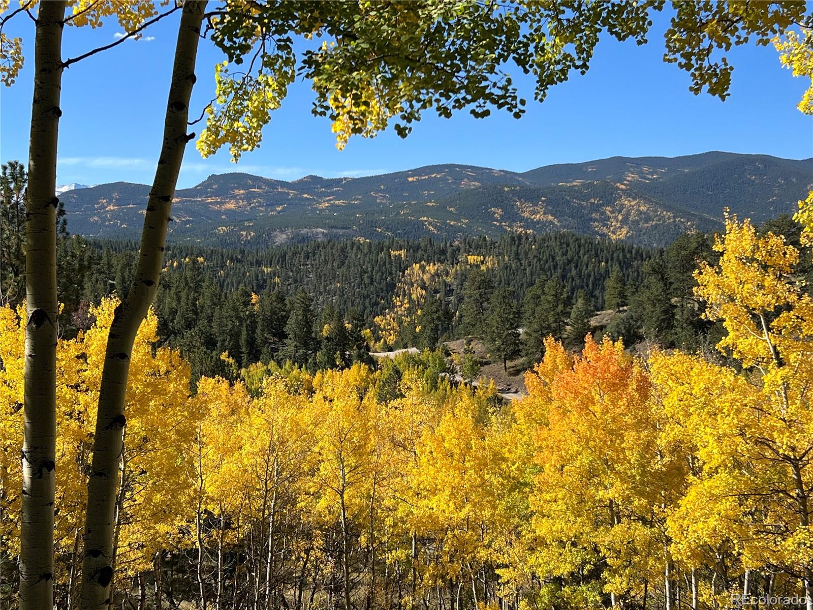 MLS Image #2 for 67  thistle trail,idaho springs, Colorado