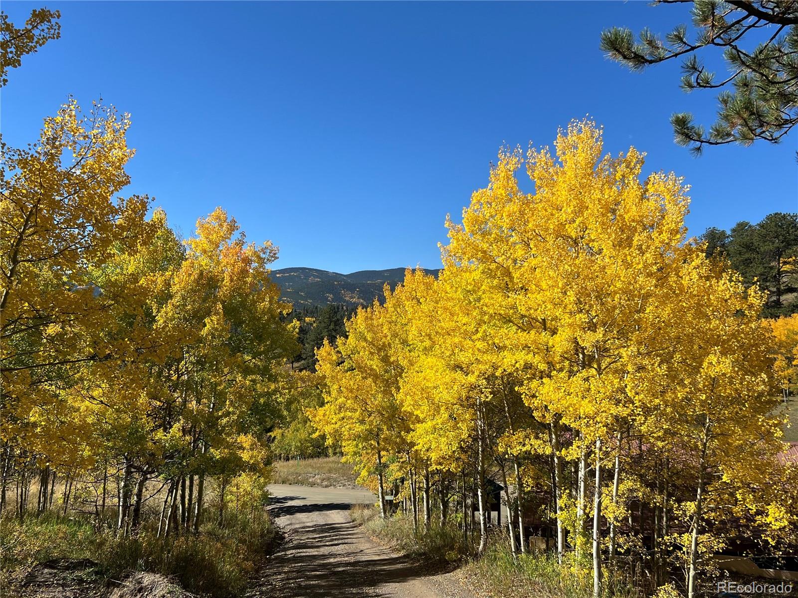 MLS Image #3 for 67  thistle trail,idaho springs, Colorado