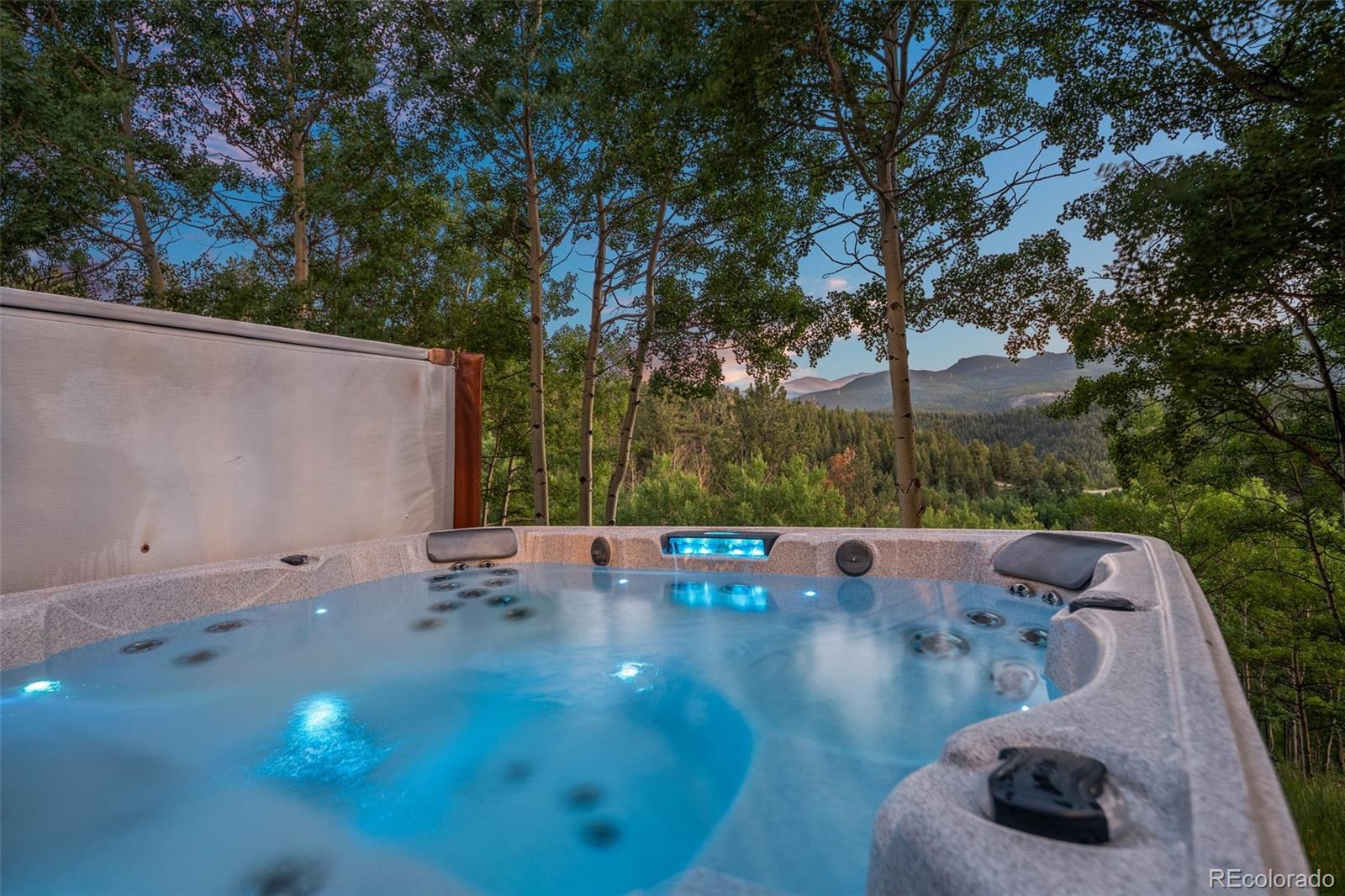MLS Image #31 for 67  thistle trail,idaho springs, Colorado