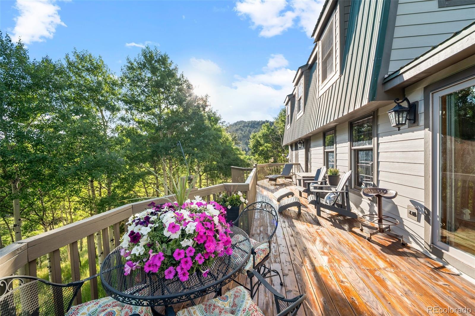 MLS Image #33 for 67  thistle trail,idaho springs, Colorado