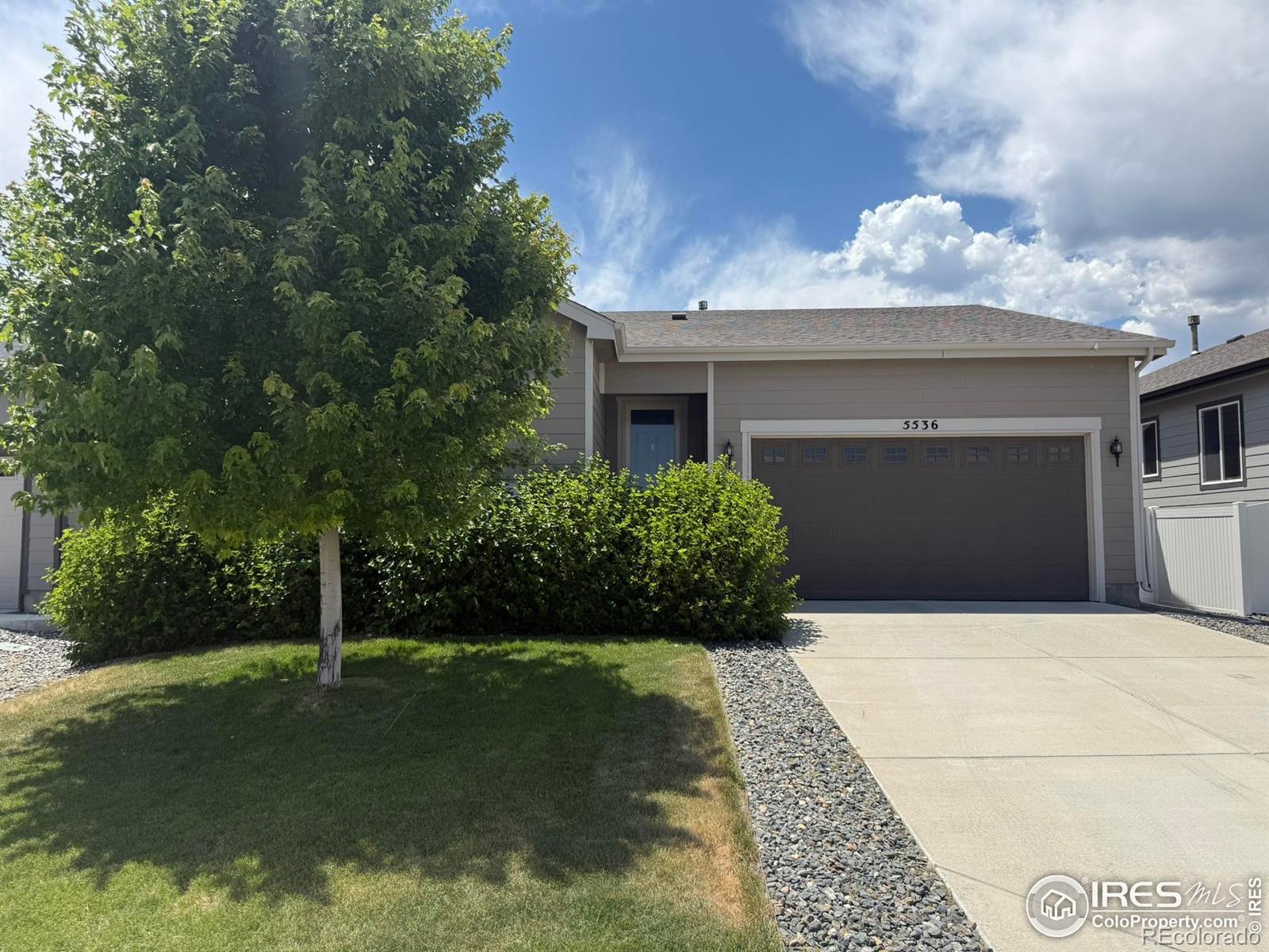 MLS Image #0 for 5536  bexley drive,windsor, Colorado