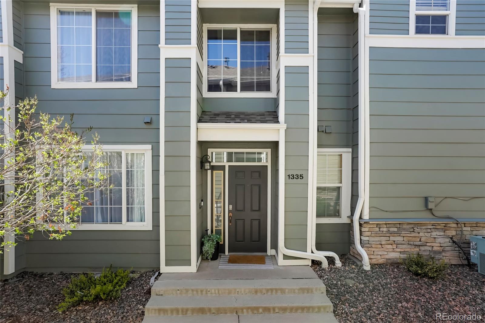 MLS Image #21 for 1335  carlyle park circle ,highlands ranch, Colorado