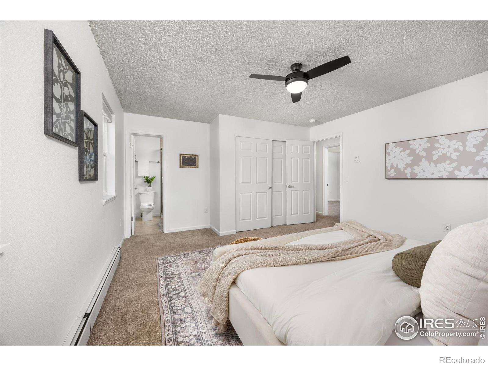 MLS Image #12 for 2218  lincoln street,longmont, Colorado