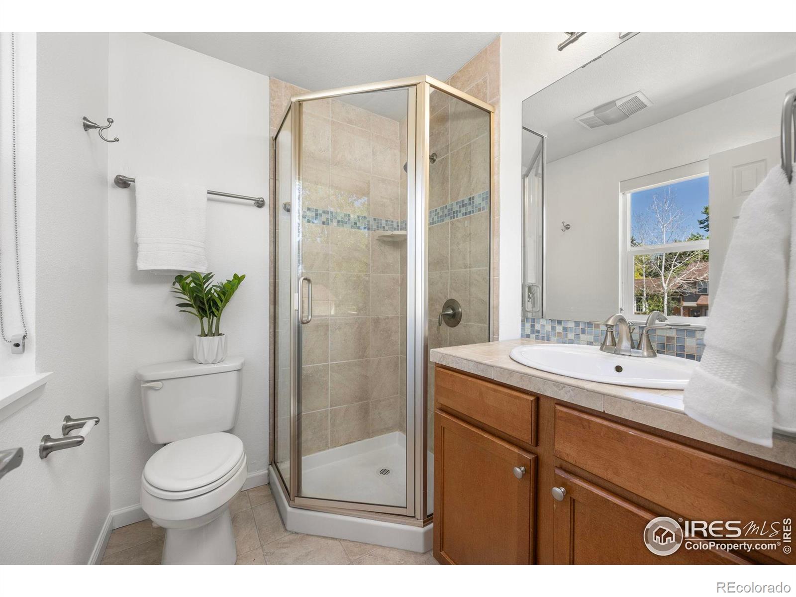 MLS Image #13 for 2218  lincoln street,longmont, Colorado