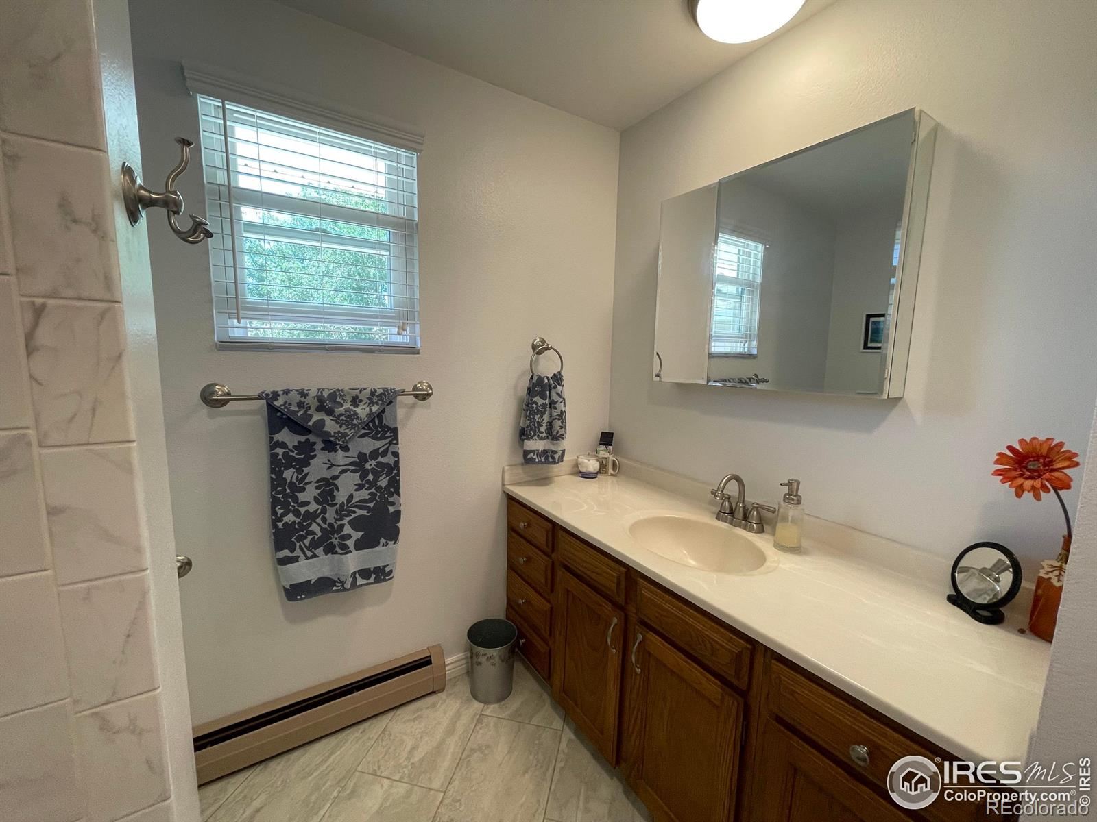 MLS Image #8 for 104  palmer street,kit carson, Colorado