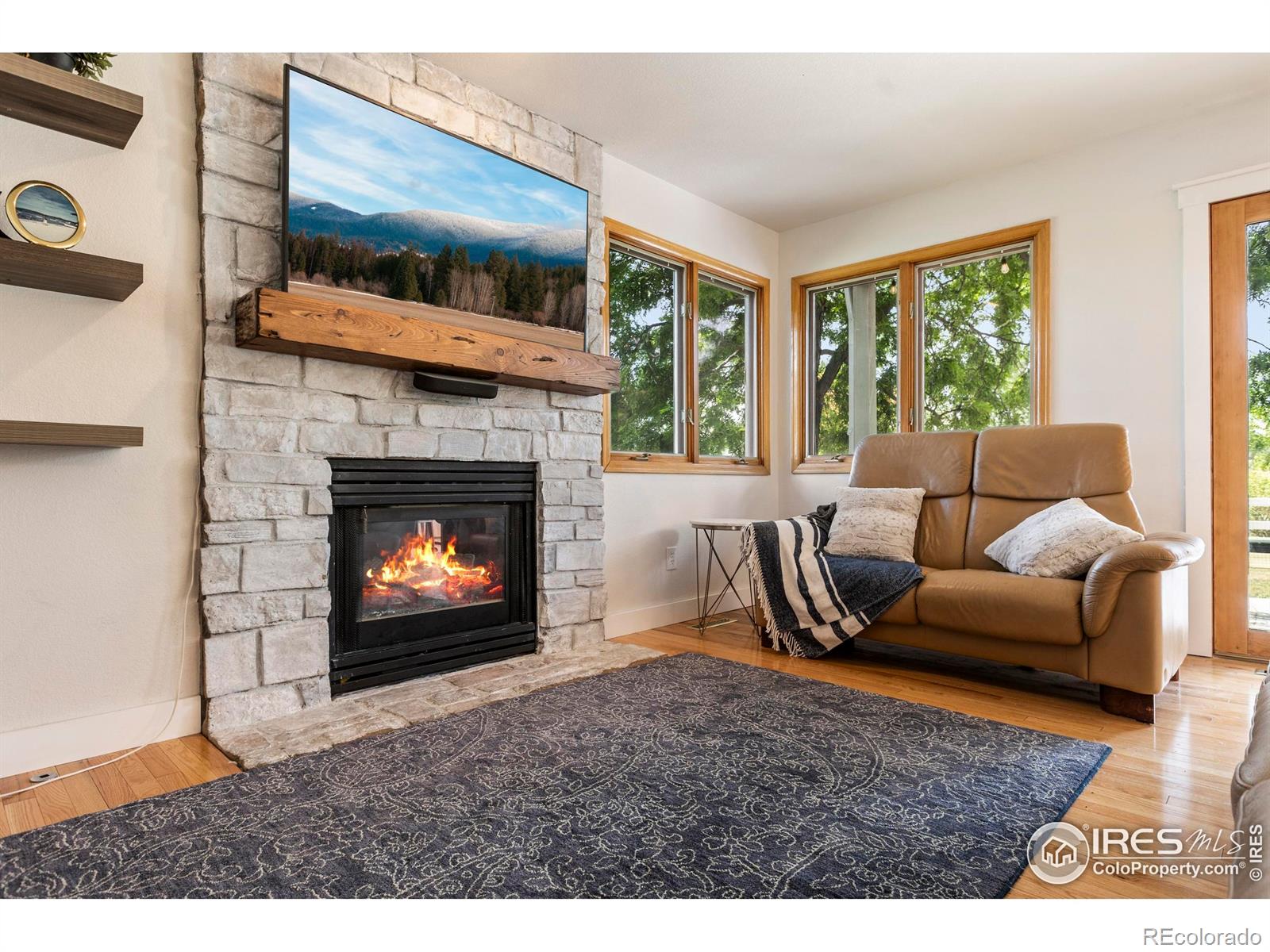 MLS Image #15 for 257  turman drive,fort collins, Colorado