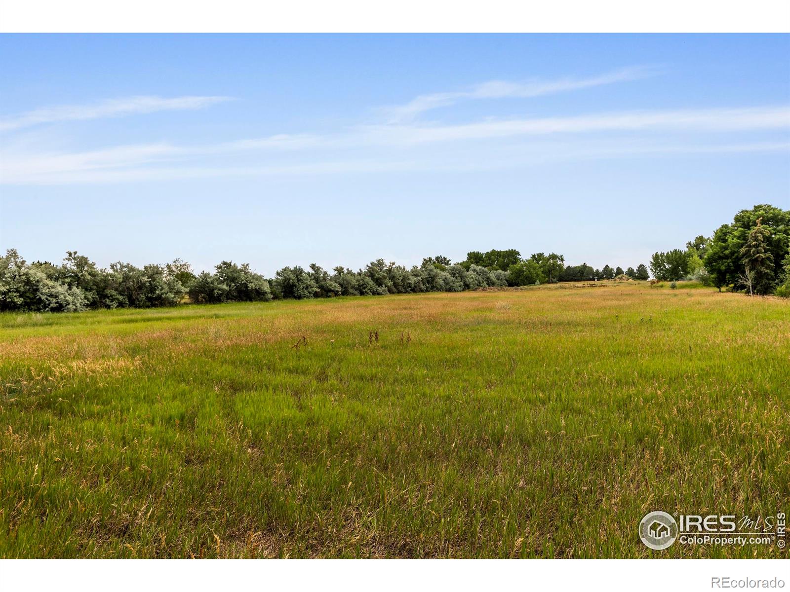 MLS Image #38 for 257  turman drive,fort collins, Colorado