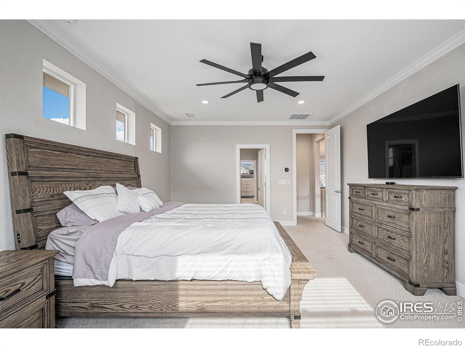 MLS Image #17 for 6733 s waterloo court,aurora, Colorado