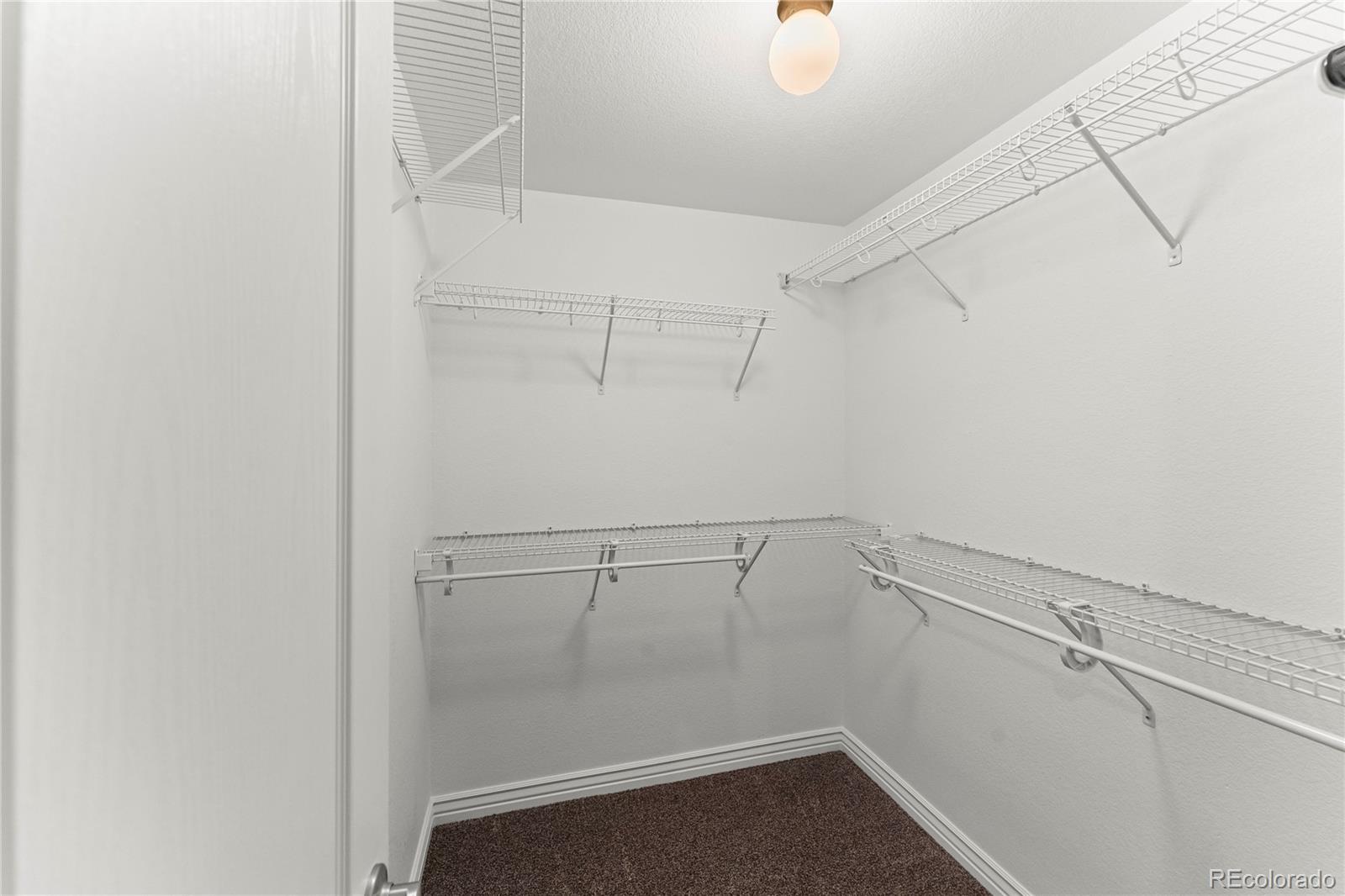 MLS Image #39 for 4446  spiceglen drive ,colorado springs, Colorado