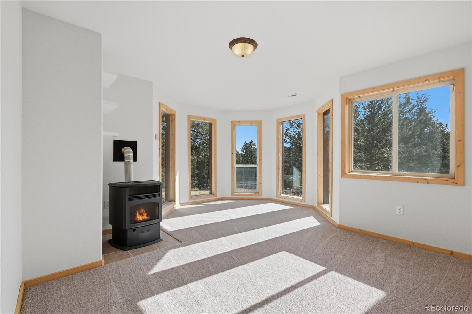 MLS Image #10 for 303  kudu trail,bailey, Colorado