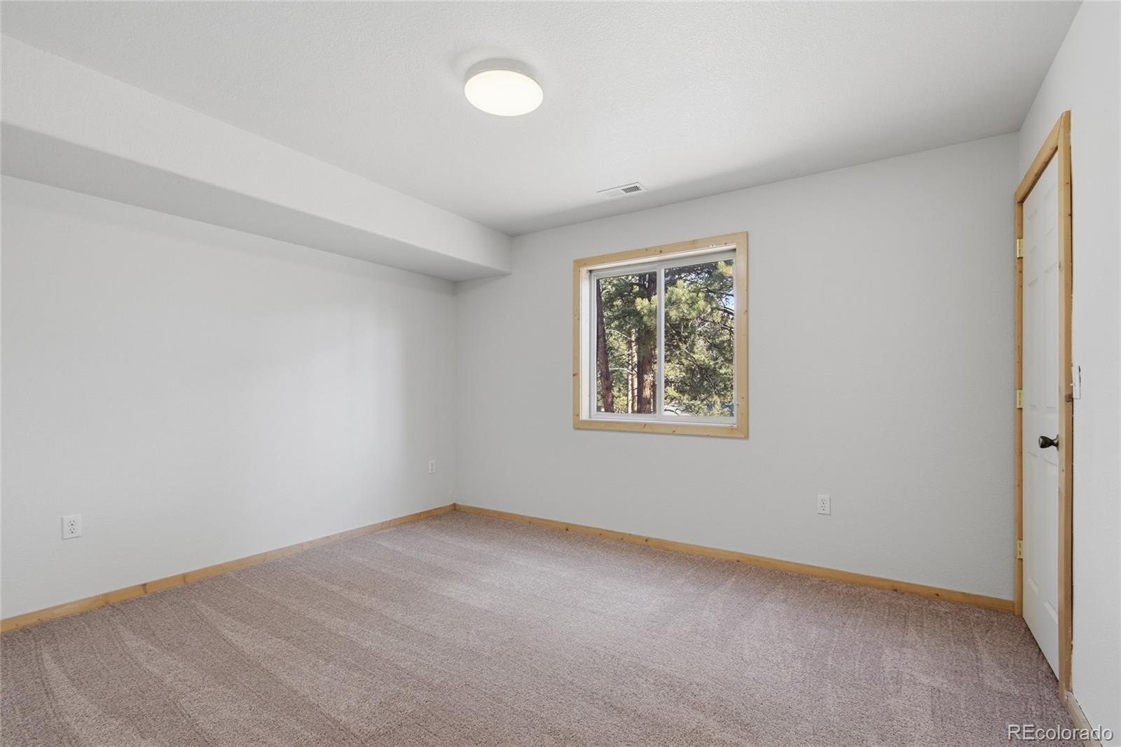 MLS Image #11 for 303  kudu trail,bailey, Colorado