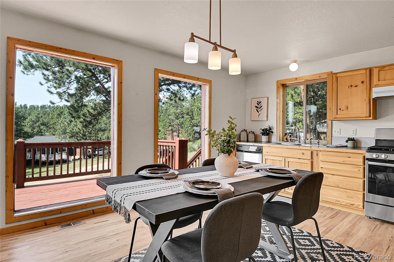 MLS Image #21 for 303  kudu trail,bailey, Colorado