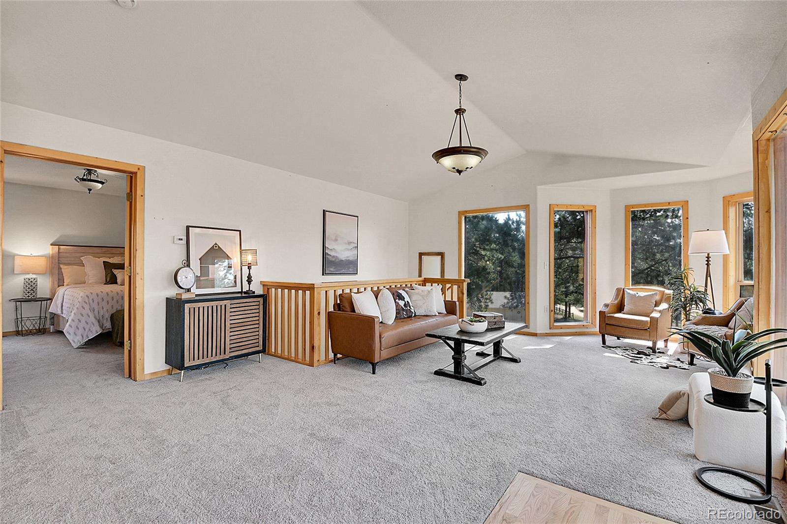 MLS Image #25 for 303  kudu trail,bailey, Colorado
