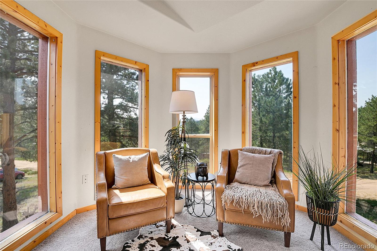 MLS Image #27 for 303  kudu trail,bailey, Colorado