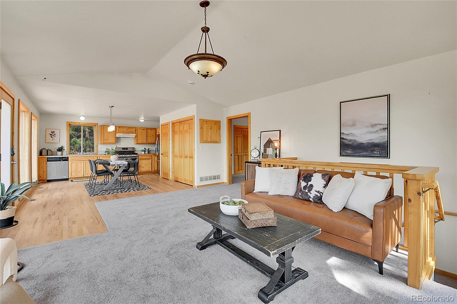 MLS Image #28 for 303  kudu trail,bailey, Colorado