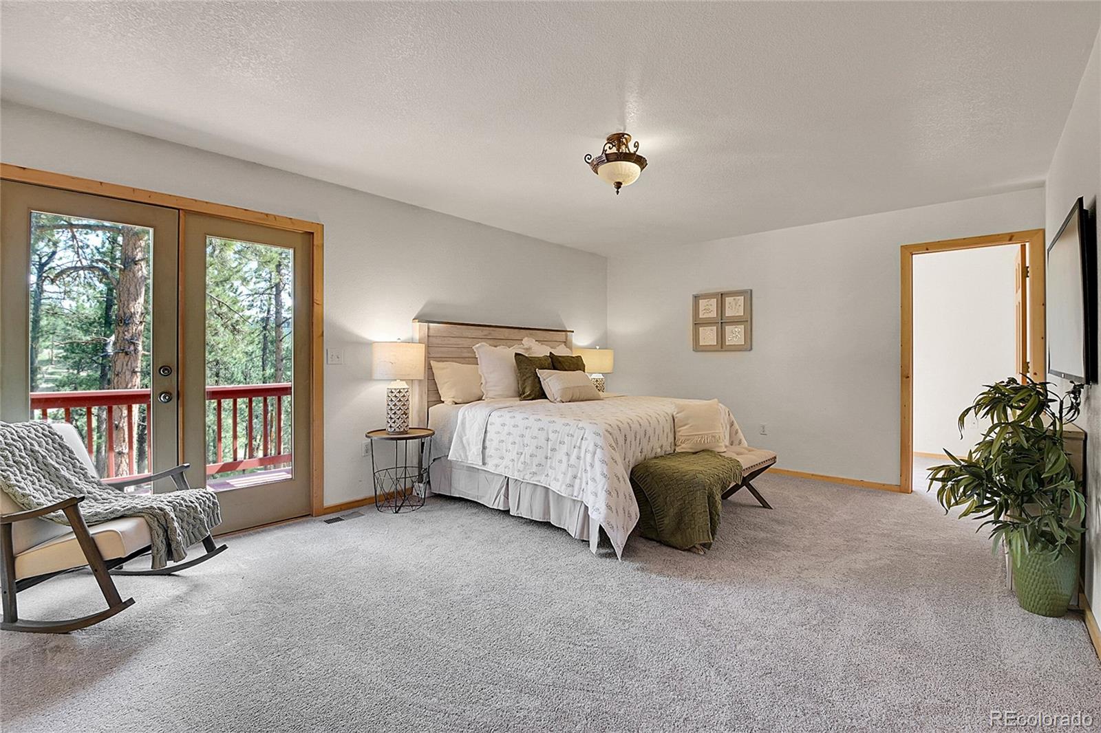 MLS Image #29 for 303  kudu trail,bailey, Colorado