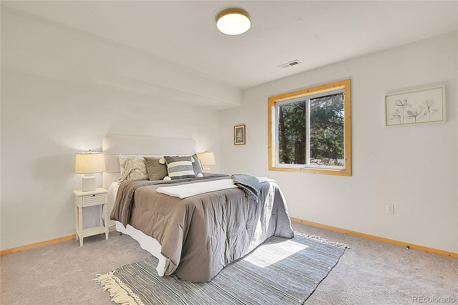 MLS Image #36 for 303  kudu trail,bailey, Colorado