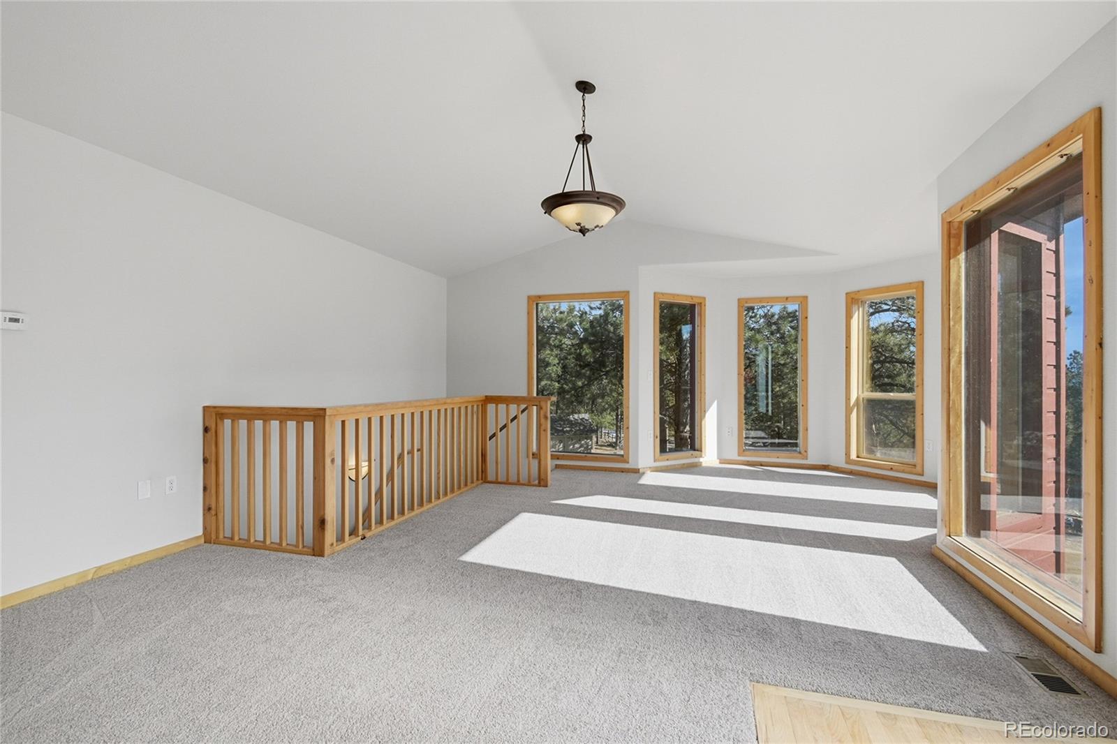 MLS Image #4 for 303  kudu trail,bailey, Colorado