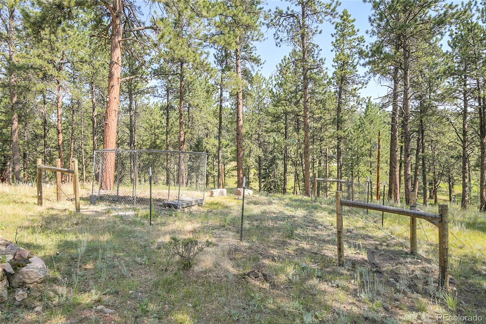 MLS Image #41 for 303  kudu trail,bailey, Colorado