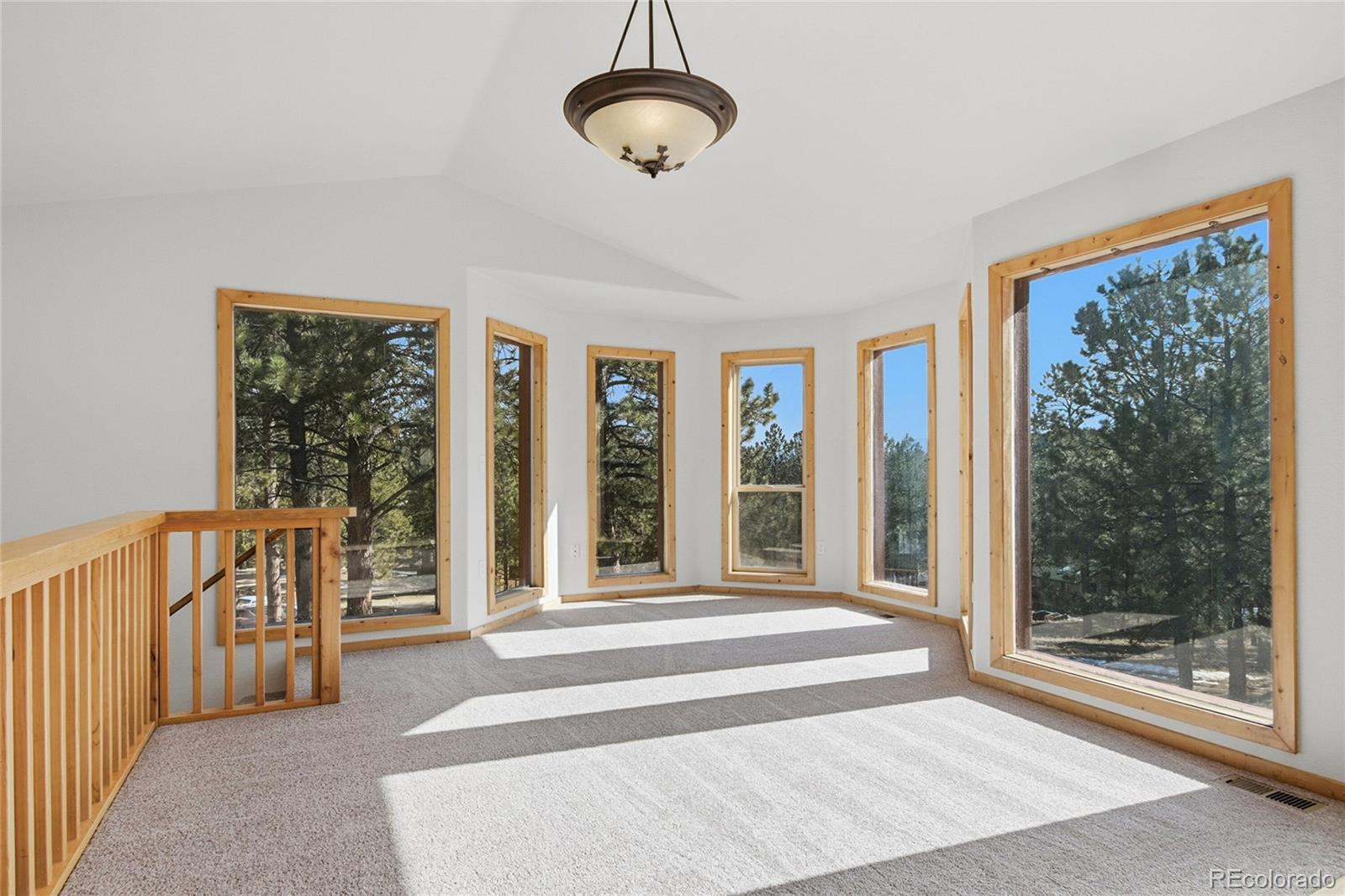 MLS Image #5 for 303  kudu trail,bailey, Colorado