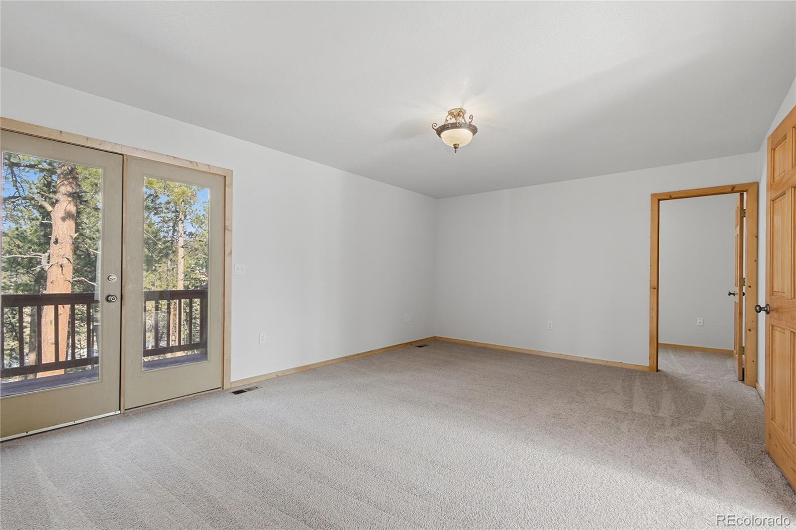 MLS Image #6 for 303  kudu trail,bailey, Colorado