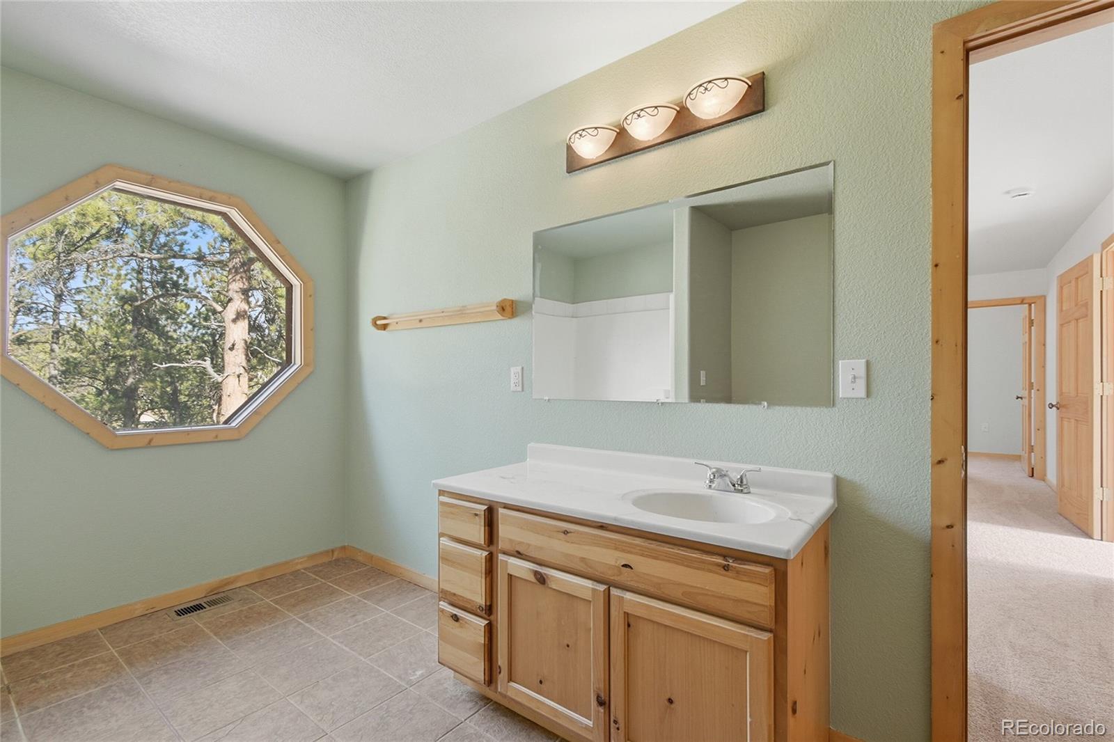 MLS Image #8 for 303  kudu trail,bailey, Colorado