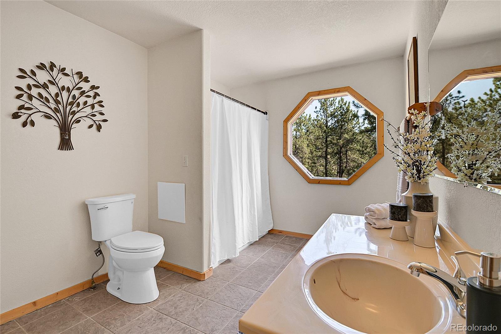 MLS Image #9 for 303  kudu trail,bailey, Colorado