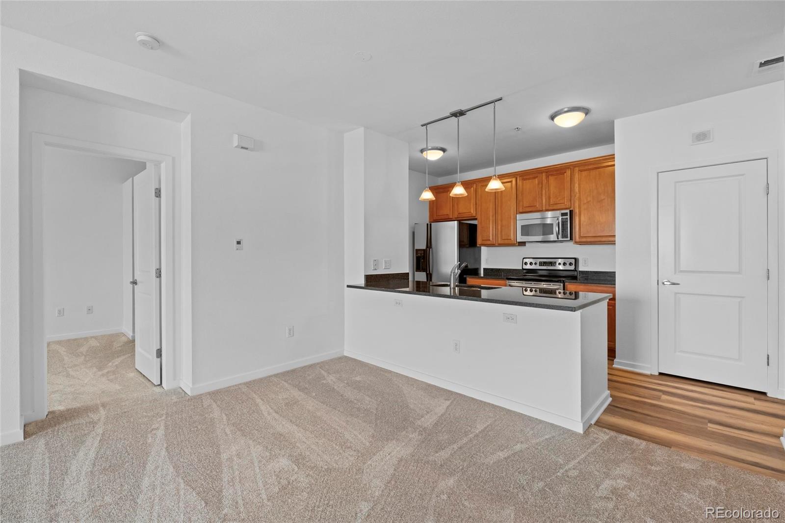 MLS Image #2 for 4100  albion street 320,denver, Colorado