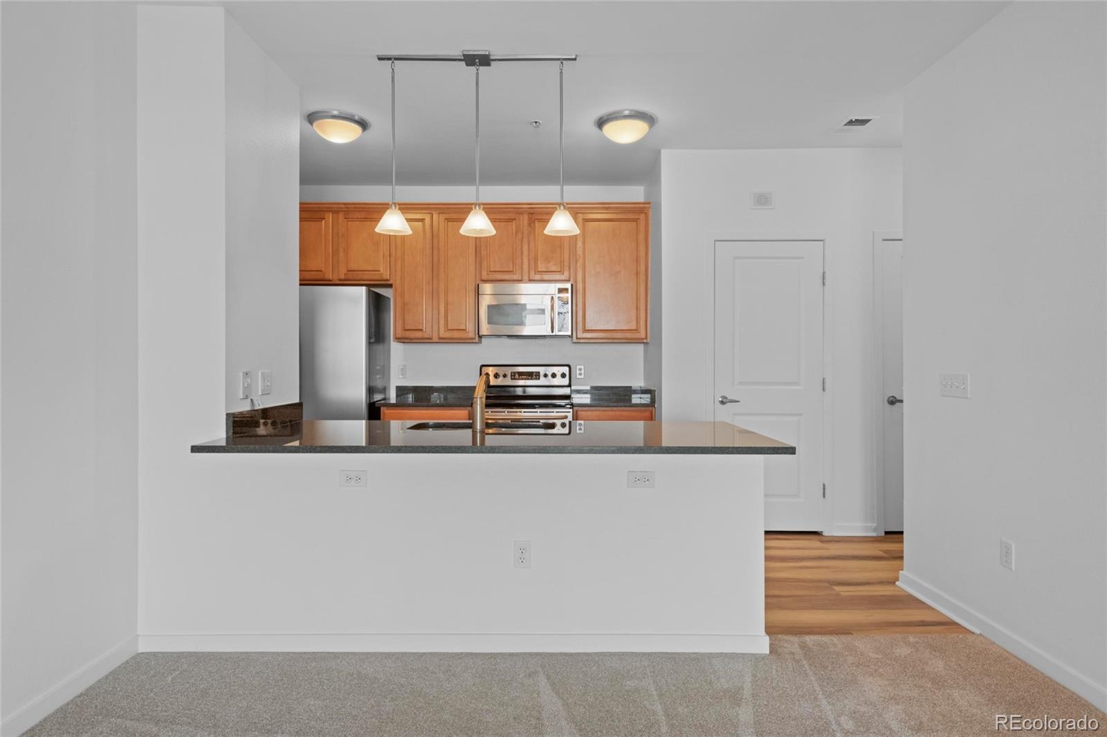 MLS Image #3 for 4100  albion street 320,denver, Colorado