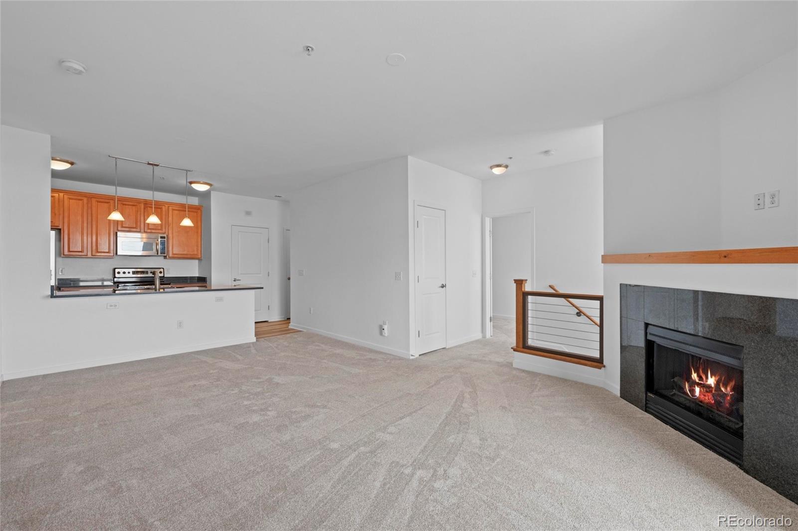 MLS Image #7 for 4100  albion street 320,denver, Colorado