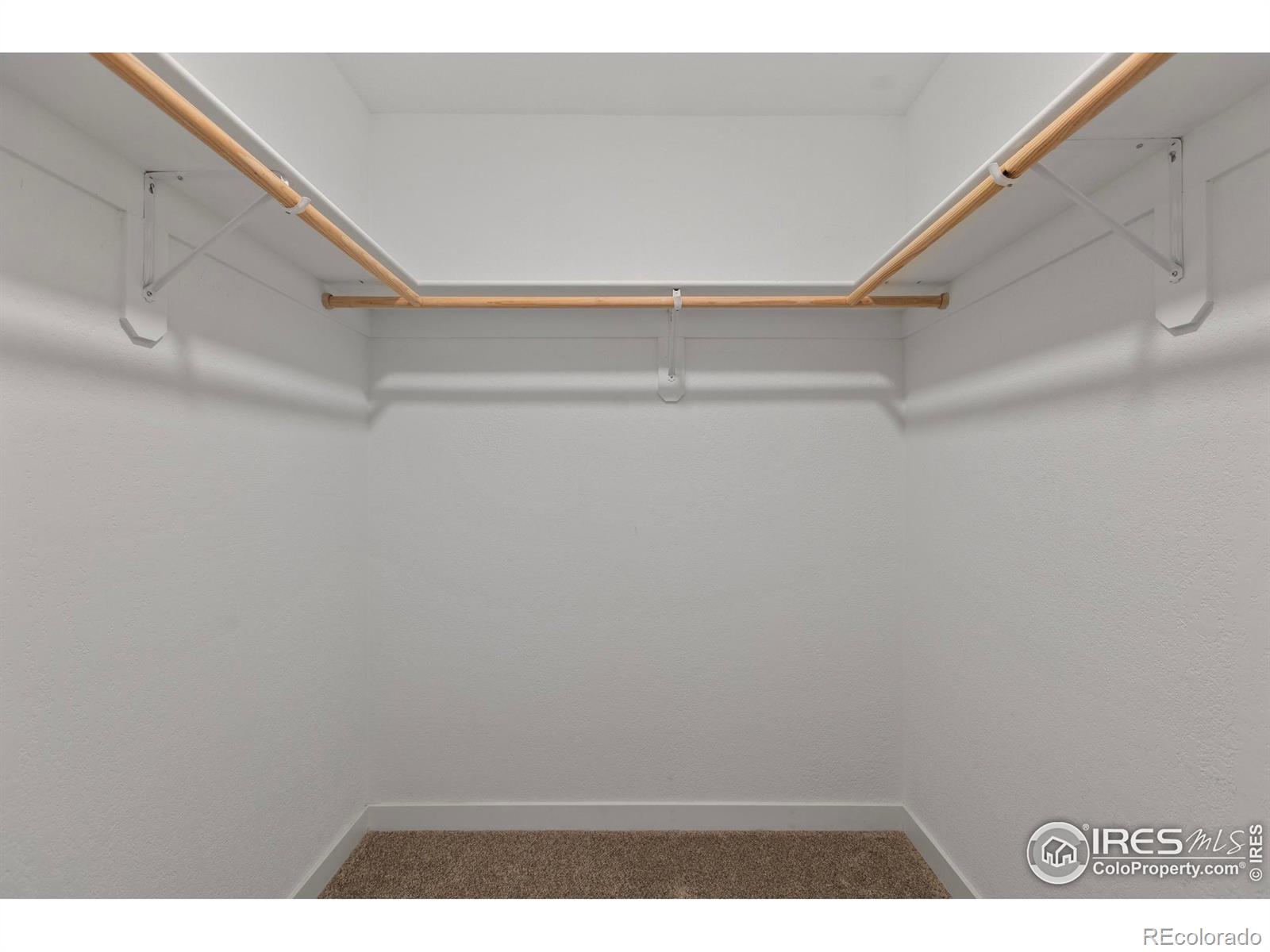 MLS Image #16 for 1013 e willox lane,fort collins, Colorado