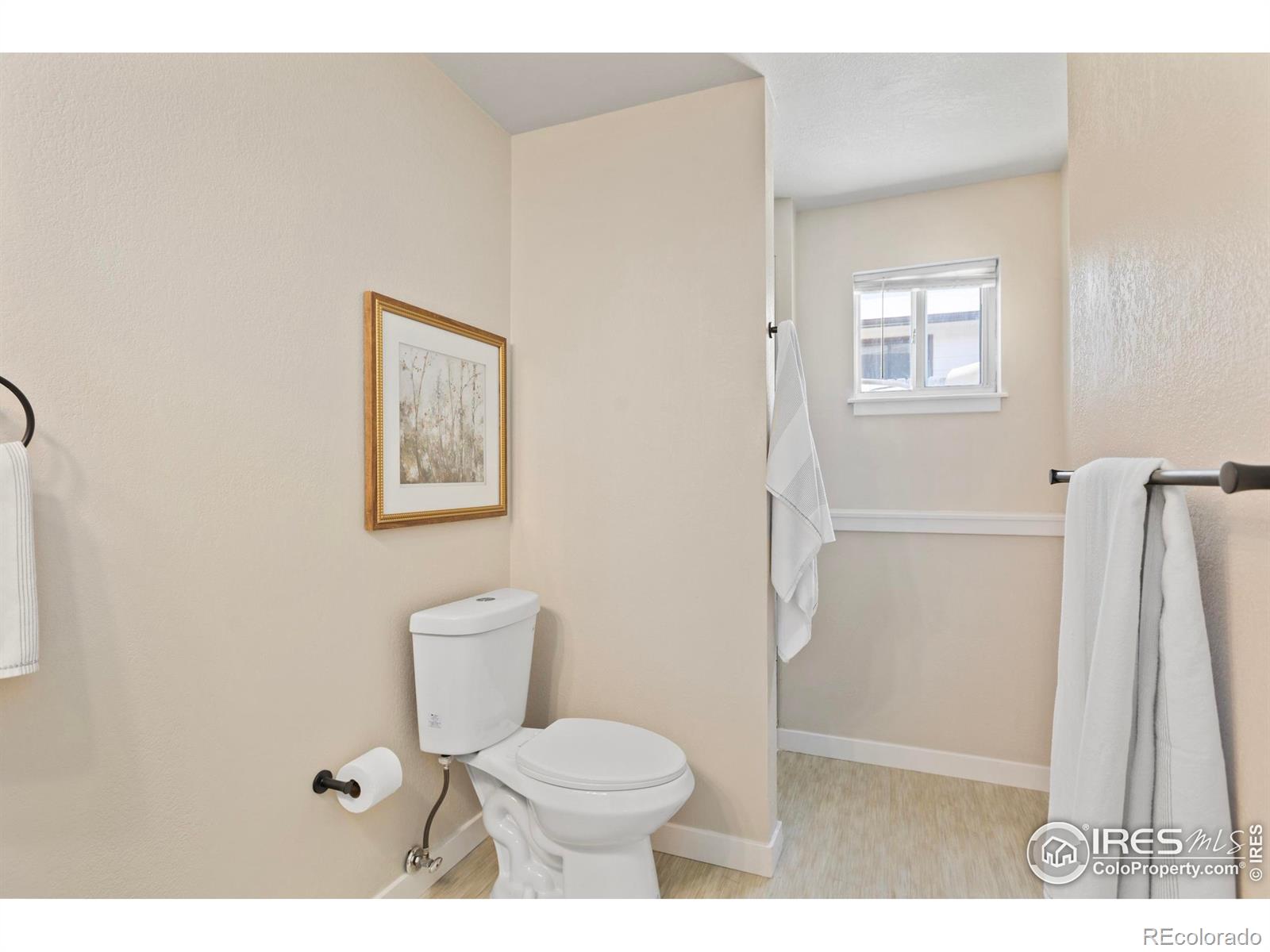 MLS Image #22 for 1013 e willox lane,fort collins, Colorado