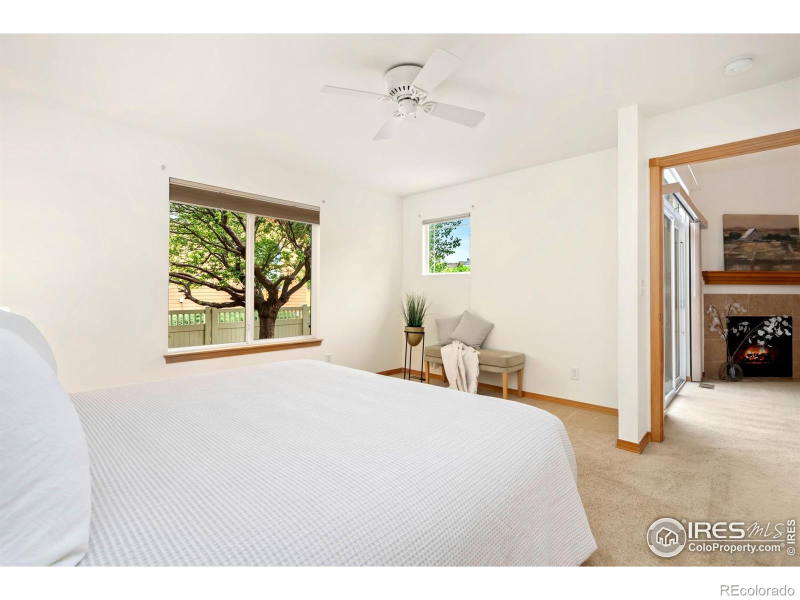 MLS Image #14 for 4603  dusty sage court,fort collins, Colorado