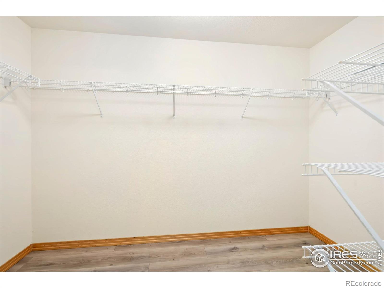 MLS Image #17 for 4603  dusty sage court,fort collins, Colorado