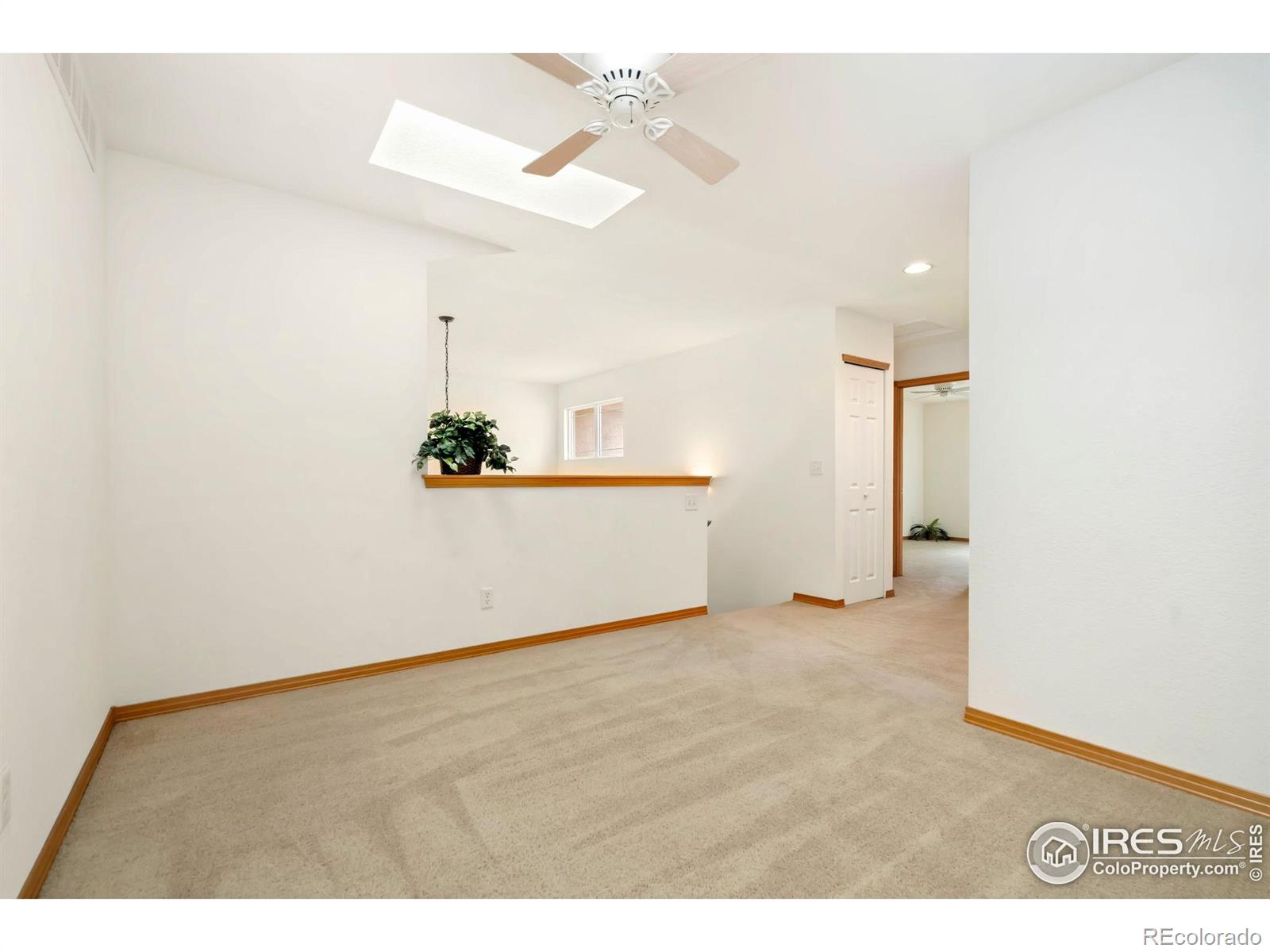 MLS Image #23 for 4603  dusty sage court,fort collins, Colorado