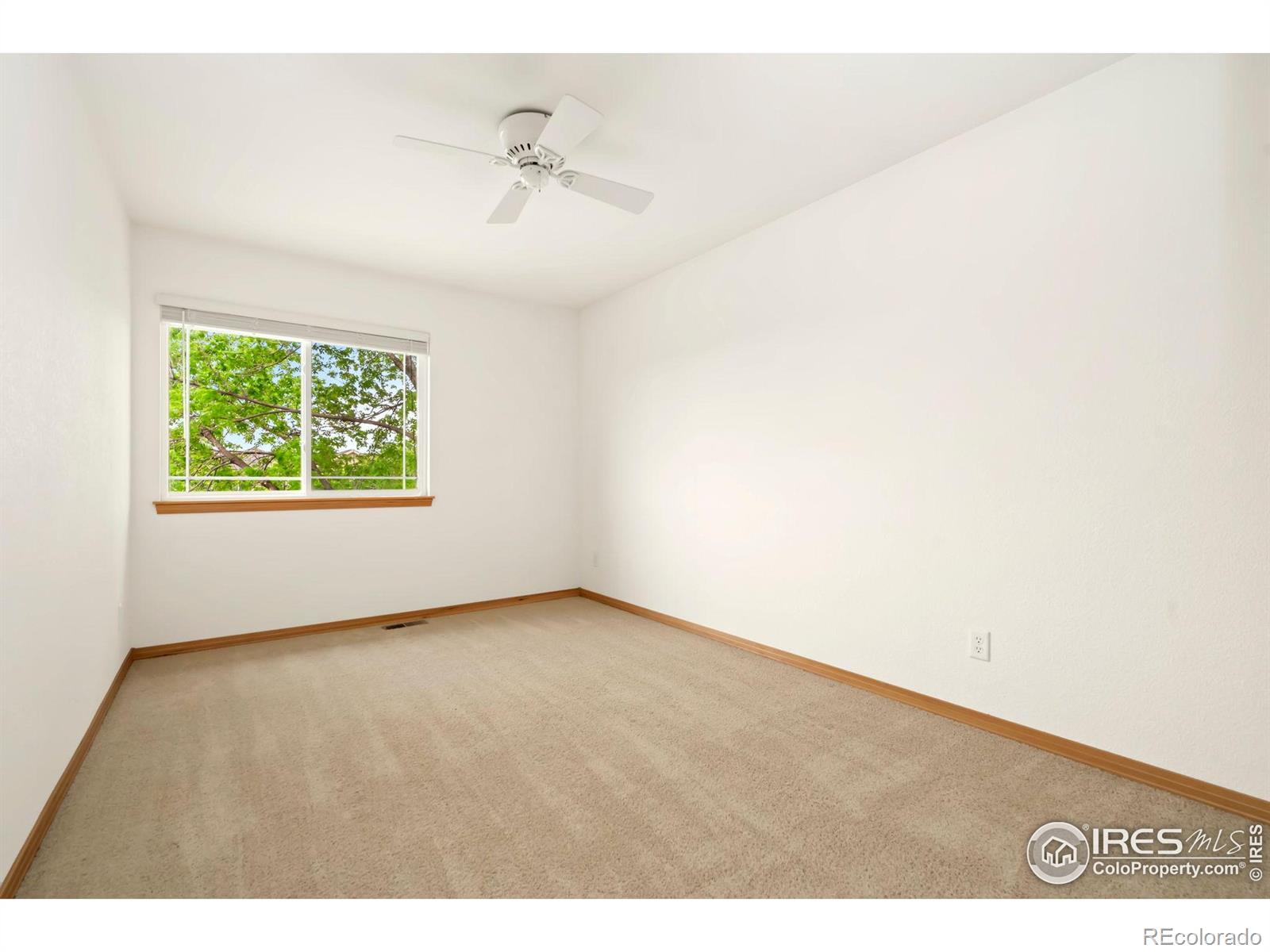 MLS Image #24 for 4603  dusty sage court,fort collins, Colorado