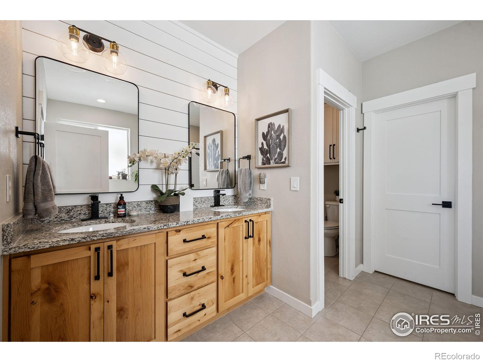 MLS Image #19 for 6710  stone point drive,timnath, Colorado